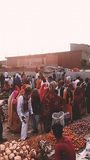 Exploring a Vibrant Outdoor Market Scene