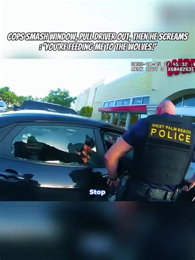 101K views · 743 reactions | #cops #police #copsdtories...