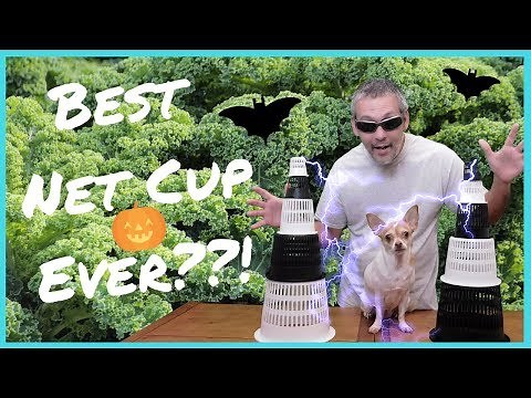 The Best Net Cup / Easy DIY Hydroponics