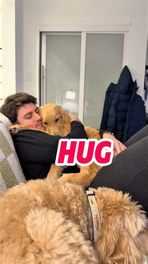 Top 5 Cutest Dogs Hugging Their Owners 🐶🤍 | Heart-Melting Cuddles #dogs #animals #shorts