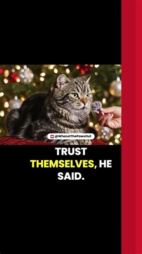 This Sarcastic Pet Interview with Cats & Dogs Was a Bad Idea 😂🐱🎙️