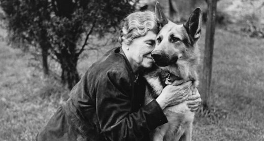 23 Photos Of Adorable Dogs With Their Famous Owners, From Frank Sinatra To Helen Keller