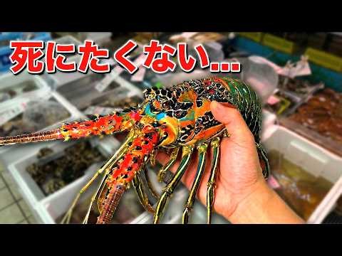 I tried raising a monster that was left unsold at the supermarket...