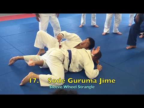 TURTLE TURN-OVERS & ATTACKS compilation of techniques