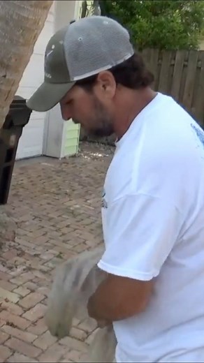 Some of the OLDE CAST NETS Part 1 🕸️😎 #CastNetFishing #mullet #mulletrun #livebait #Happybait | The Mullet Run