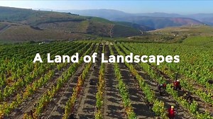 325K views · 518 reactions | How about a taste of Portugal for the weekend? Portugal is a land of landscapes. Everyone needs to get inspired once in a while. Take a train ride throughout the country, enjoy the view from the window and smile in amazement. [The Portuguese picked their mobile phones and cameras and filmed their favorite bits of Portugal] | Visit Portugal | Facebook