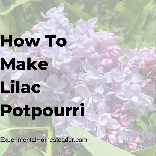 How To Make Lilac Potpourri