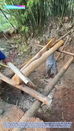 Teeth and Timber: How Traditional Pit Saws Transform Logs into Lumber