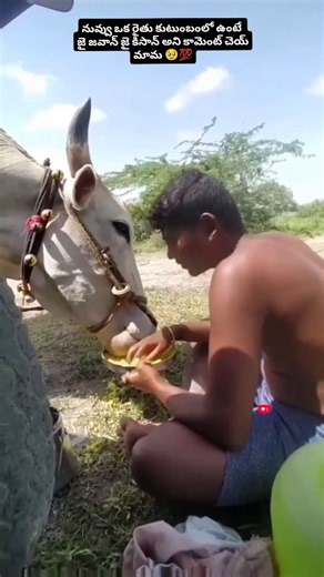 Thirumalanaidu on Instagram: "Share everyone ❤️🙏 #viralreels #trending #farmer #motivatetoday"