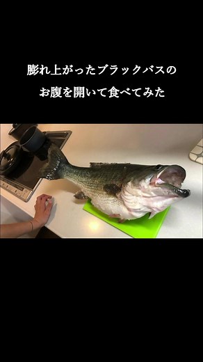 ブラックバスをフィレオフィッシュ風に調理