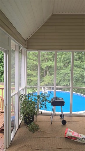 Now Georgia..... what in the heck is this???!! Mr Big Flying Creator can we have our patio back... 😓😓 #summer #georgia #bug