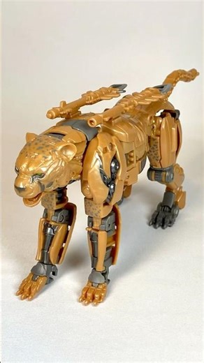 Cheetor Maximize! (ROTB)｜ビースト覚醒チーターを変形させてみた！#transformers #beastwars #nottontv
