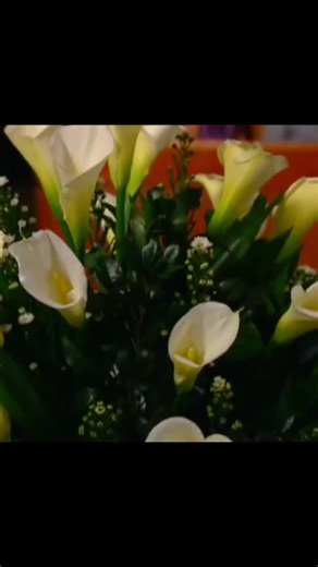 #todoesacctuacion #escenasnovelas #cuandoseasmia