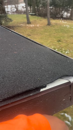 Daquan Rustin on Instagram: "D&R Animal Trapping and Exterminating (440)781-4406 #ExterminatorD #Exterminator #WildLife #animaltrapping #PestControl"