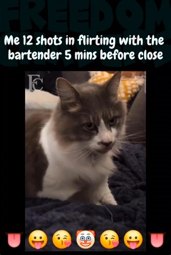3.6K views · 12 reactions | Trying to flirt with the bartender after last call and everyone went home  #fyp #trending #viral #FreedomChasers #reaction #parody #funny #comedy #lol #haha #wild #cat #cats #catsofinstagram #drunk #flirting #tongue #damn | Freedom Chasers | Facebook