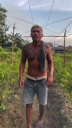 DILUAR NALAR CARA KAWAN JAWA BERTANI