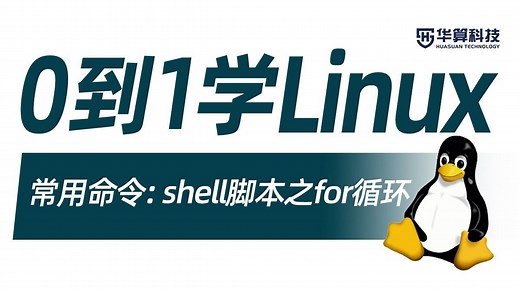 【Linux指令】小白可学！Shell 脚本 for 循环专题讲解！| 华算科技