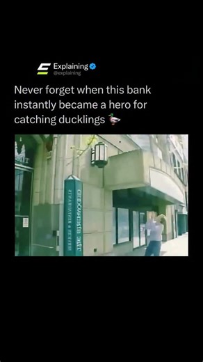 Explaining on Instagram: "In Spokane, Washington, banker Joel Armstrong became famous after he literally caught ducklings mid air as they leapt from a high ledge outside his downtown office. 🦆 A mother duck had nested on a concrete awning outside the building, and when the ducklings hatched, they had to drop a long way down to the sidewalk where their mom waited. Armstrong ran outside, stood directly beneath the ledge, and caught the ducklings one by one in his hands as they jumped, then set th