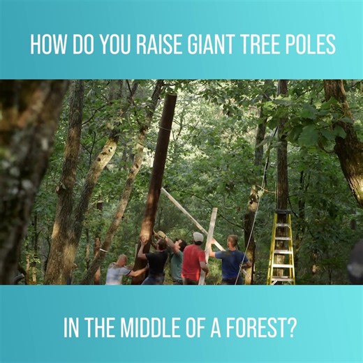1.1K views · 21 reactions | A team is braving the wilderness to construct a towering treehouse in a remote forest, hauling over 23,000lbs of materials, including 10ft to 18ft telephone poles, to the site and raising them entirely by hand. Watch more Building Off The Grid on discovery+: https://bit.ly/3JJmdgj | Love Science | Facebook