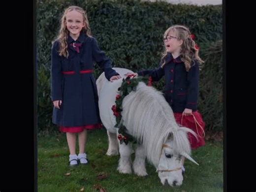 If you've been following us for a long time you will know that we have had the privilege of watching lots of amazing children grow over the years - both in height and in confidence. Whether it's coming to see Pumpkin every Christmas, visiting us at Stirling Castle at Easter, having Princess as a guest at your party or coming to spend time with Pumpkin at our Outdoor Experience or a combination of all of them. It's one of my favourite parts of doing what we do - seeing children develop their self