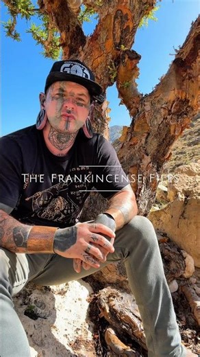 Why Chunky Frankincense Resin Works Best for Distillation