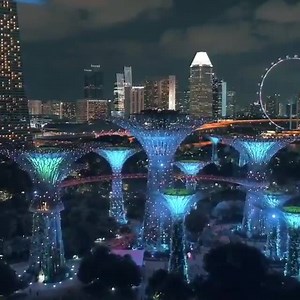 4.8K views · 75 reactions | Gardens by the Bay, Singapore  | Singapore Warehouse Sale | Facebook