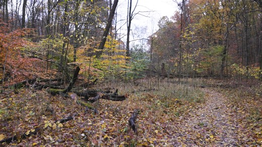 2.1K views · 41 reactions | Hit the trails at South Park this fall!...