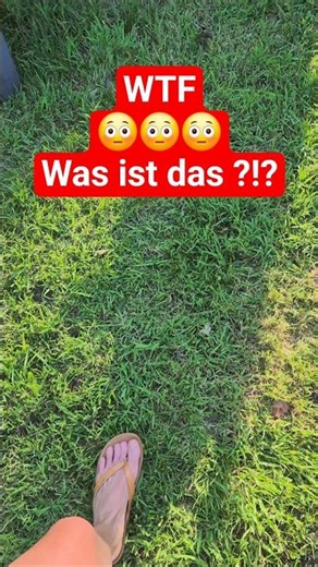 WTF😳 Sowas habe ich noch NIE gesehen #aliens #garten #anxiety