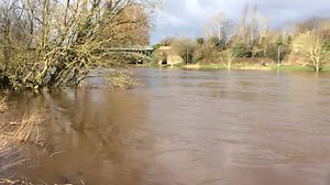 4.9K views · 78 reactions | Video from this morning. Yesterday, the river was low and clear! | Dave Harrell Angling | Facebook