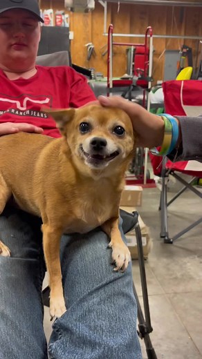 Who misses @Pudgywoke