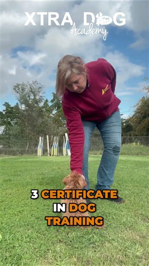 Launch Your Dog Training Career: Get Certified! #shorts