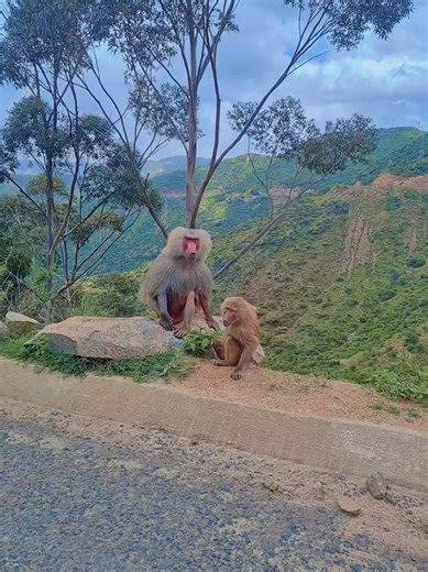 Exploring Arberebu in Eritrea: A Cultural Journey
