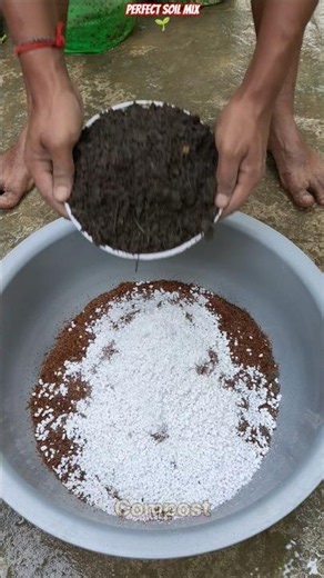 🌿 Best Potting Mix Recipe for Healthy & Fast Growing Plants! 🌱 #shorts #gardening #organicgardening