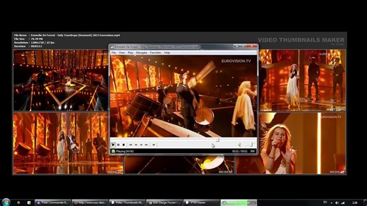 Video Thumbnails Maker 视频缩略图生成工具
