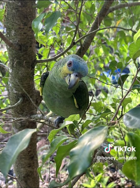#naturevibes🌿happy #sunlight#happybirdie