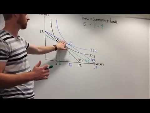 Explanation of Income and Substitution Effects