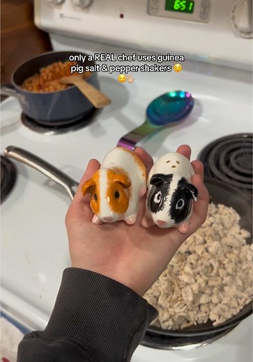 Guinea Pig Salt and Pepper Shakers for Unique Meals
