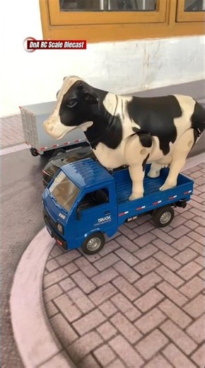 Innova car, pickup truck, monster truck, forklift chasing cow #rccar #automobile #cow