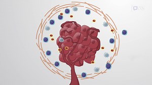 Video: The Tumor Microenvironment
