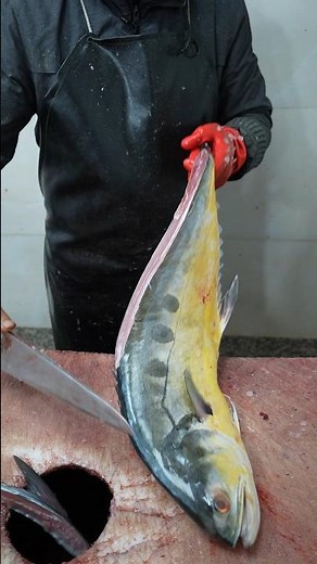 Filleting Queenfish Like a Pro: Easy & Quick Method for Your Fresh Catch