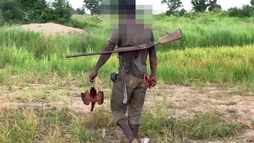 Ghana hunting ban helps threatened species but faces pushback