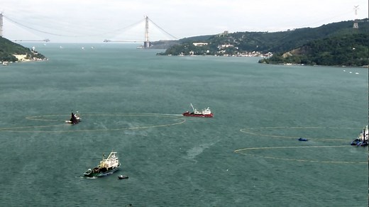 Bluefish Documentary Trailer