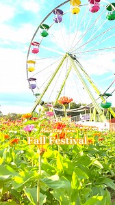 Our Fall Festival opening weekend is finally here!! 🎃🤩 #fallfestival 🎟 Visit mainstayfarm.com/fall-pricing for more info on dates, hours, and discounted tickets! | Mainstay Farm Park