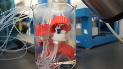 新手必看！Bioject使用教程