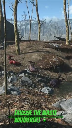 Auzzie The Wasteland Wanderer: Fallout 4