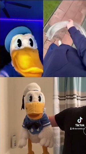 Donald Ducc doesn’t understand Donald #shorts