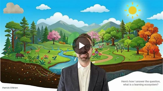 #learninganddevelopment #learningecosystem #instructionaldesign #learningstrategy #talentdevelopment #ldcommunity #learningculture #workplacedesign #ecosystemthinking #learningarchitecture | Patrick O Brien