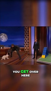 Dog Agility Course: Will Ferrell's Hilarious Training Fails