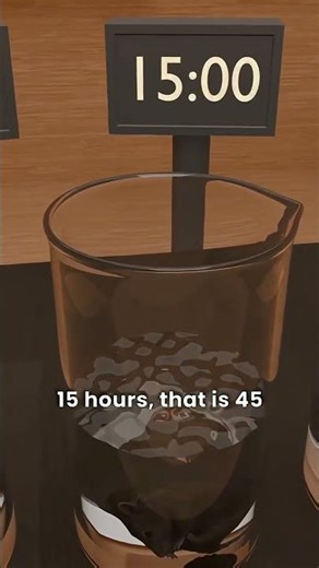 The Survival Secret: Why Wild Rats Outlasted Lab Rats by #animation