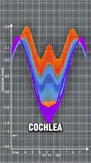 Why Notes Clash? Insane Physics of Musical Dissonance!